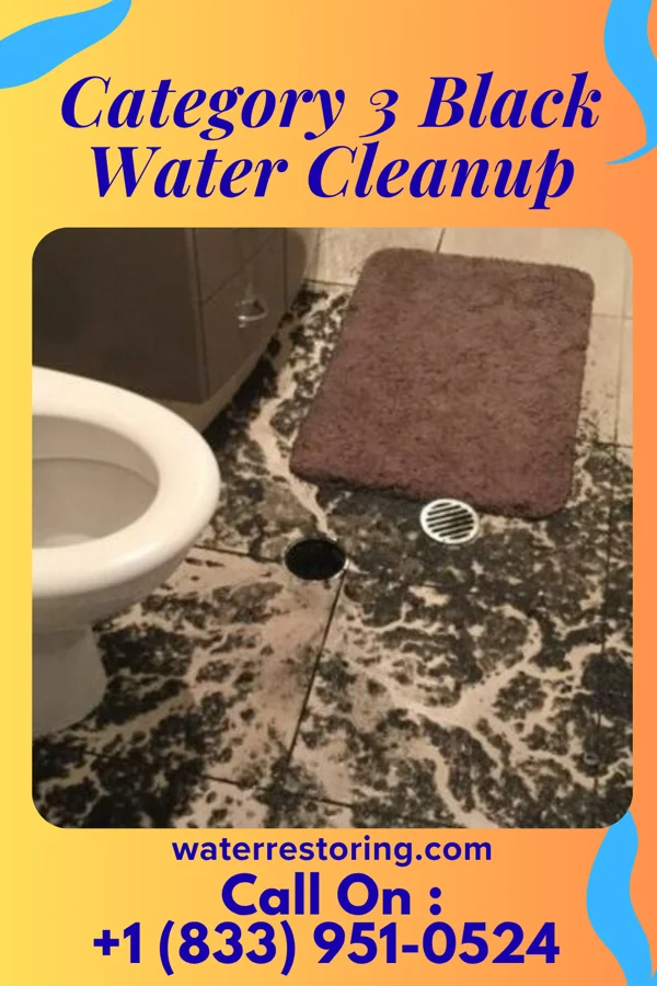 Category 3 Black Water Cleanup in Martinez Lake, AZ
